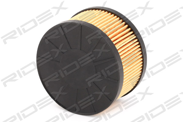 RIDEX 7O0213 Oil Filter for...