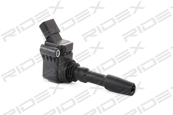 RIDEX 689C0031 Ignition...