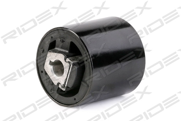 RIDEX 251T0070 Mounting,...