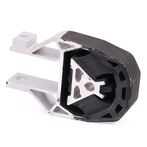 RIDEX 247E0096 Mounting,...