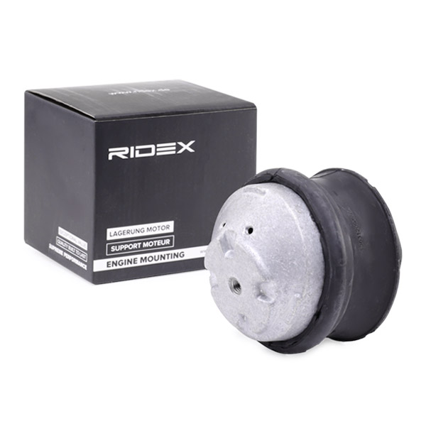RIDEX 247E0098 Suport motor