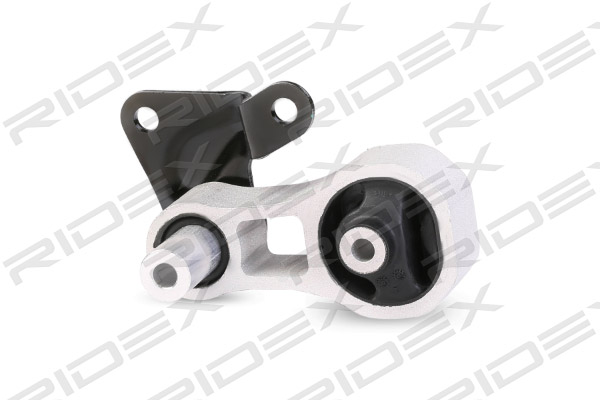 RIDEX 247E0100 Mounting, engine