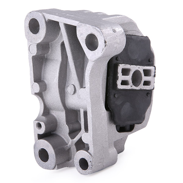 RIDEX 247E0106 Mounting,...