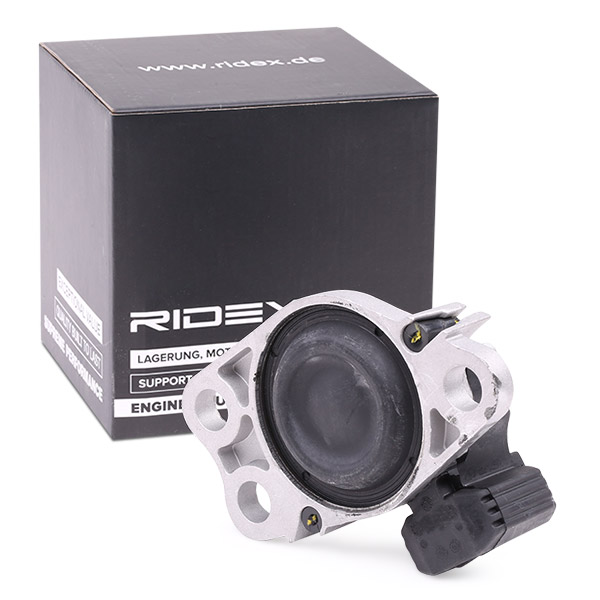 RIDEX 247E0120 Suport motor