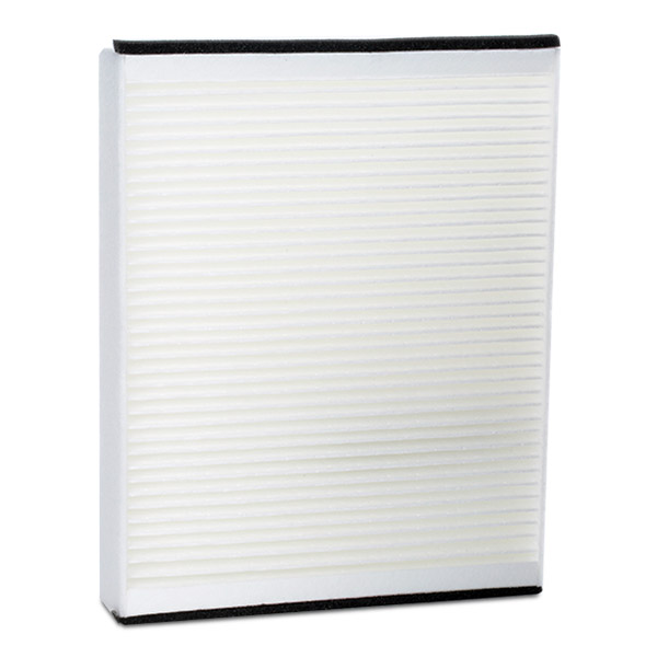 RIDEX 424I0362 Filter,...