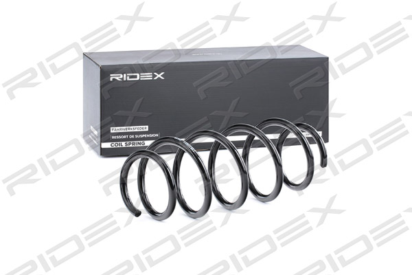 RIDEX 188C0313 Suspension...