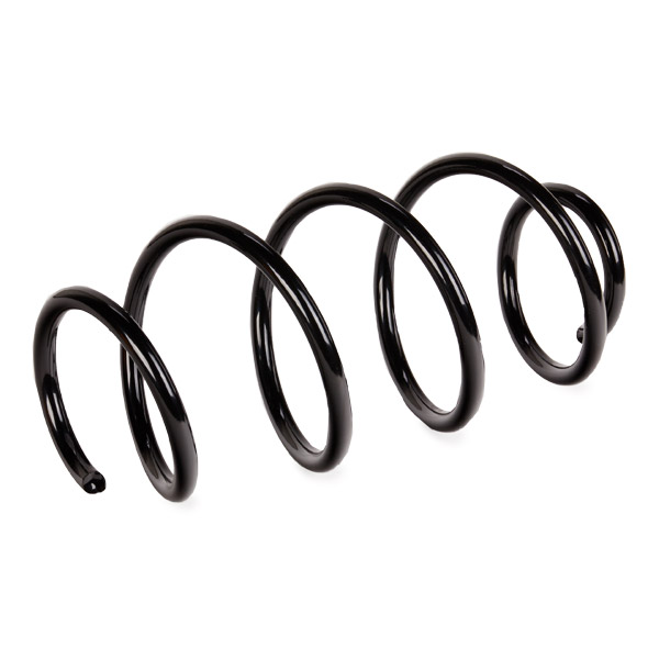 RIDEX 188C0321 Suspension...