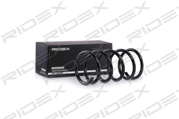 RIDEX 188C0384 Suspension...