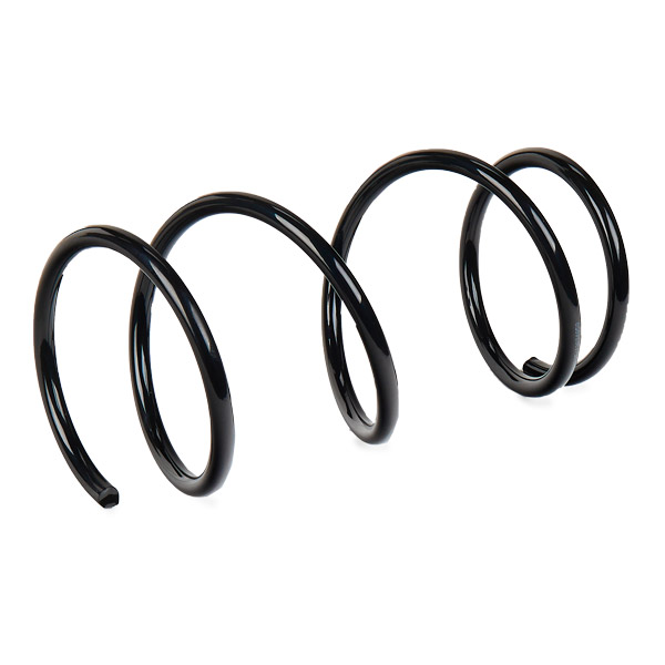 RIDEX 188C0404 Suspension...