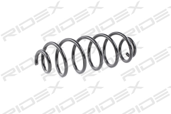 RIDEX 188C0416 Suspension...