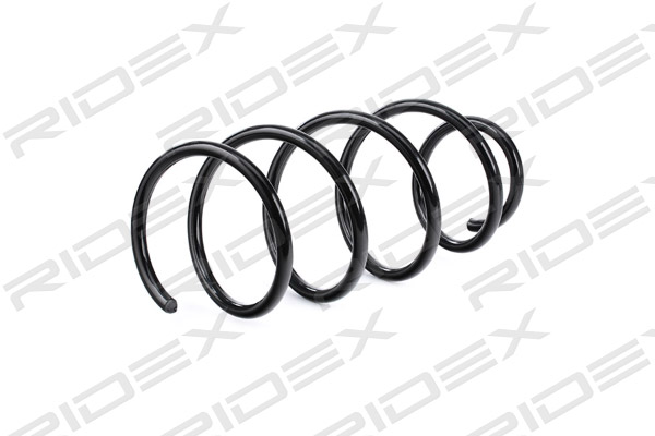 RIDEX 188C0500 Suspension...