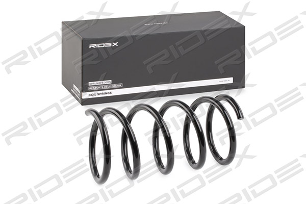 RIDEX 188C0538 Suspension...
