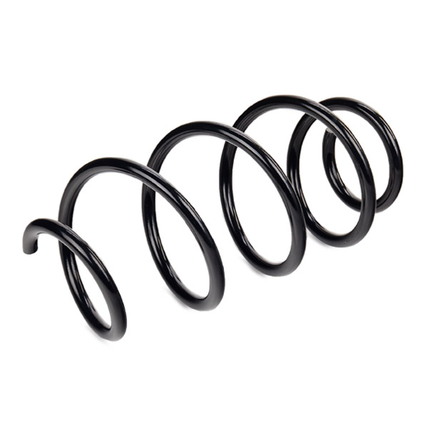 RIDEX 188C0516 Suspension...