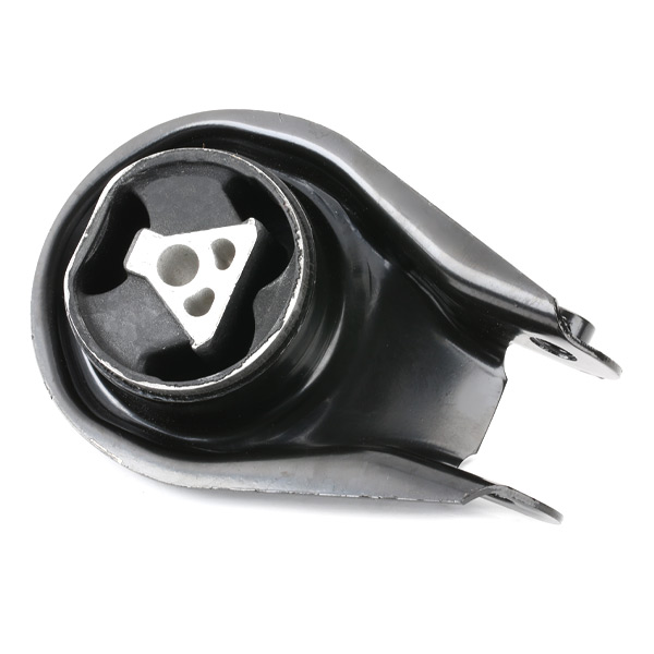 RIDEX 247E0200 Mounting,...