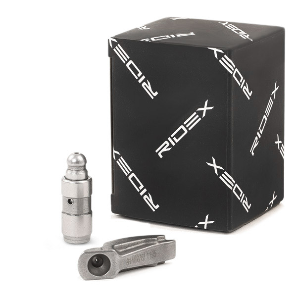 RIDEX 3320A0005 Set accesorii, tacheti