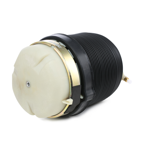 RIDEX 4119A0025 Air Spring,...