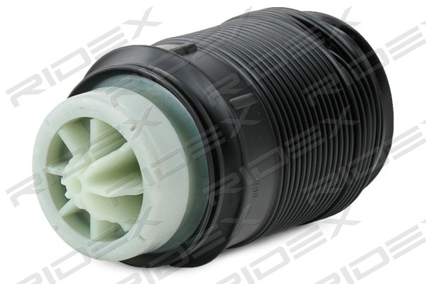 RIDEX 4119A0030 Air Spring,...