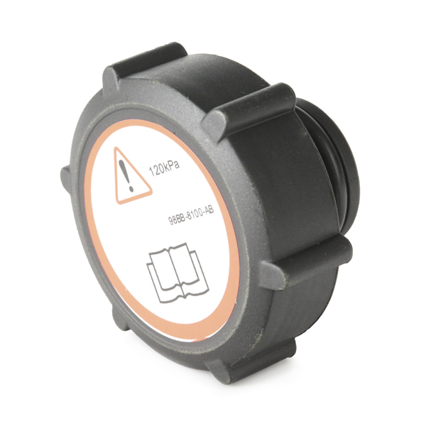 RIDEX 56V0019 buson,vas expansiune