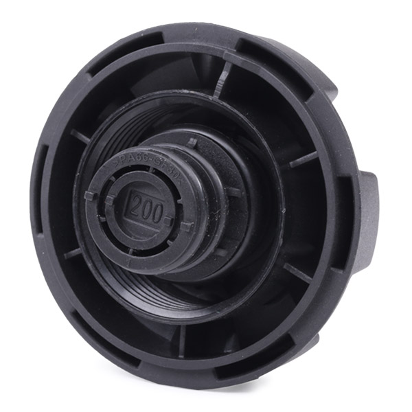 RIDEX 56V0024 buson,vas expansiune