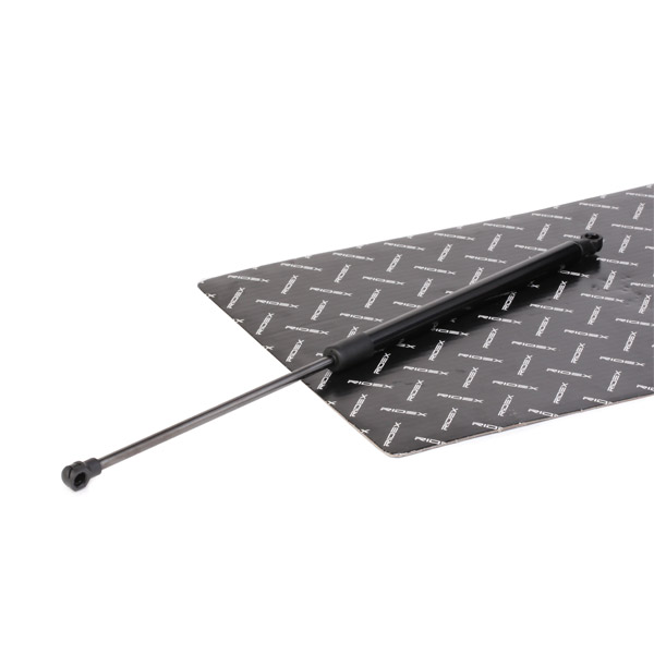 RIDEX 1207G0005 Amortizor gaz, pavilion