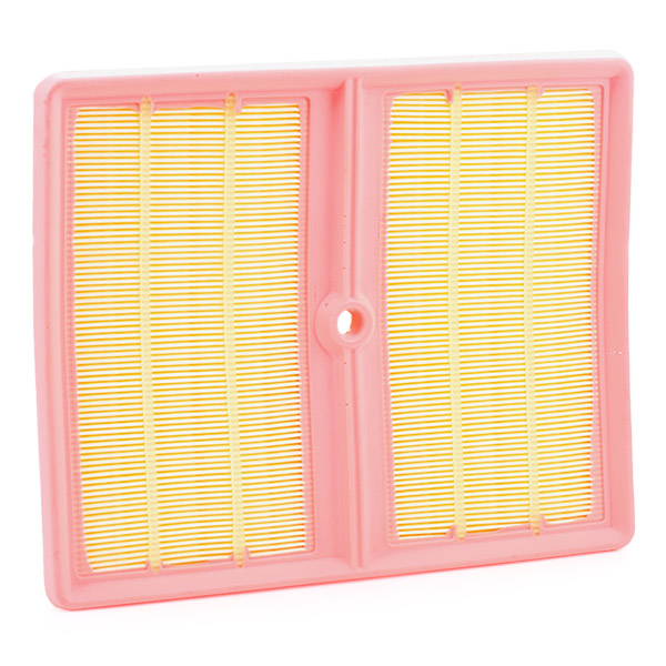 RIDEX 8A0794 Air Filter for...