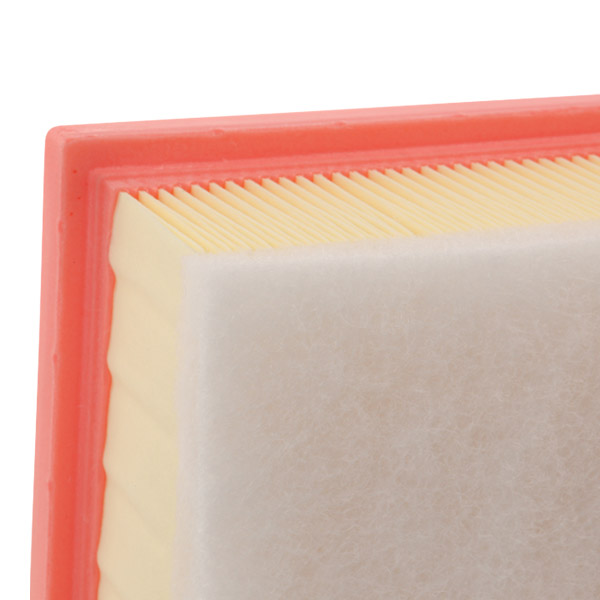 RIDEX 8A0998 Air Filter for...