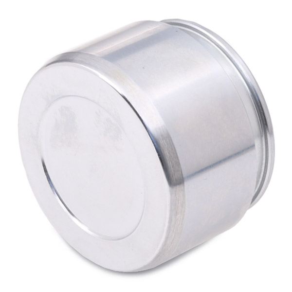 RIDEX 2248P0020 Поршень, корпус скобы тормоза