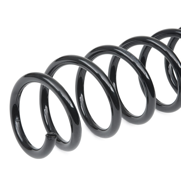 RIDEX 188C0904 Suspension...