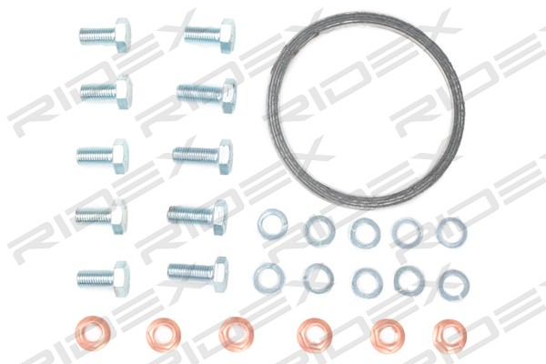 RIDEX 429C0010 Катализатор