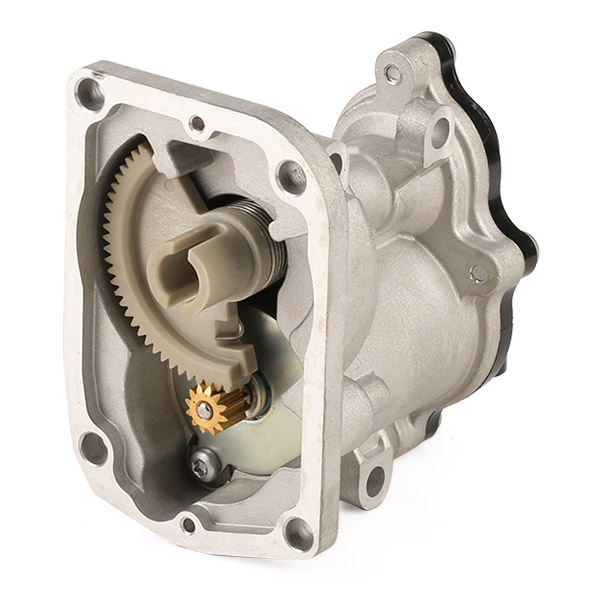 RIDEX 1145E0241 EGR Valve...