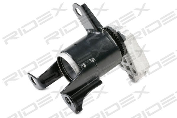 RIDEX 247E0438 Mounting, engine
