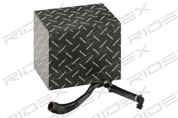 RIDEX 1600H0016 Furtun, aerisire chiulasa