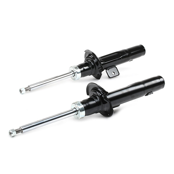 RIDEX 1185S0002 Set montare, amortizor