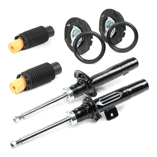 RIDEX 1185S0002 Set montare, amortizor