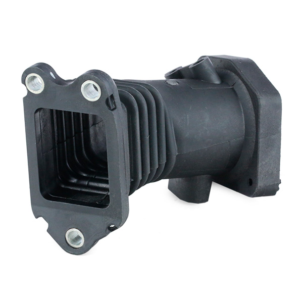 RIDEX 1591I0017 Рукав воздухозаборника, воздушный фильтр