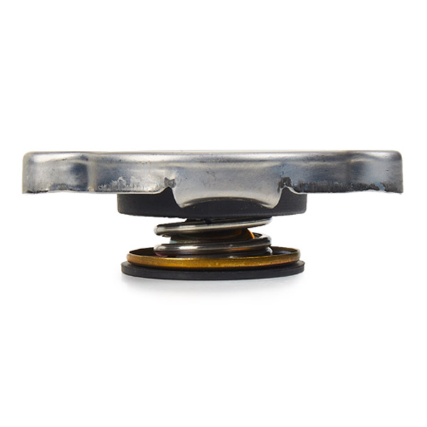 RIDEX 56V0058 buson,vas expansiune