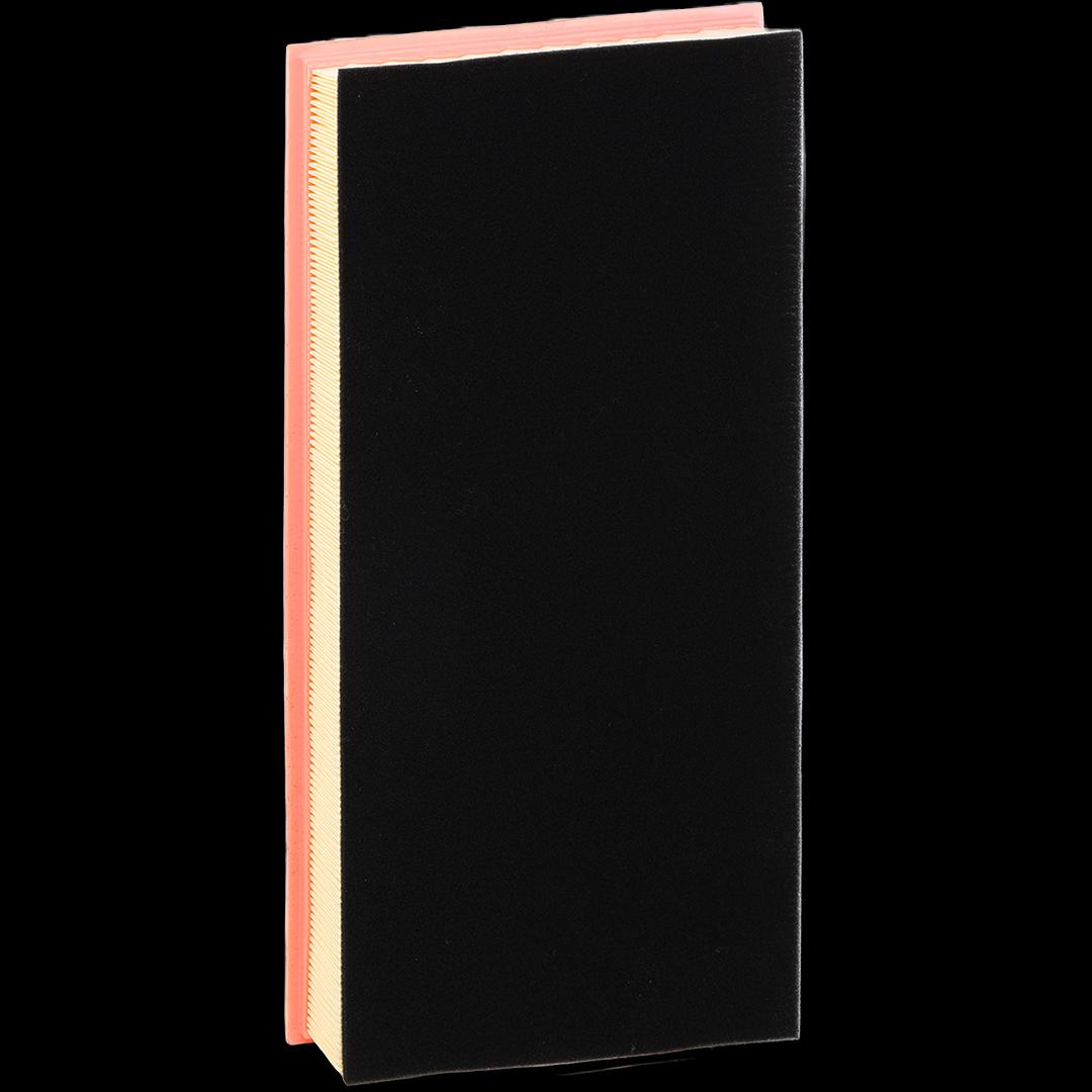 RIDEX 8A1613 Air Filter for...