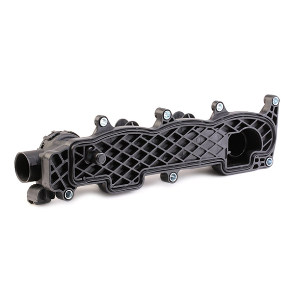 RIDEX 977C0009 Cylinder...