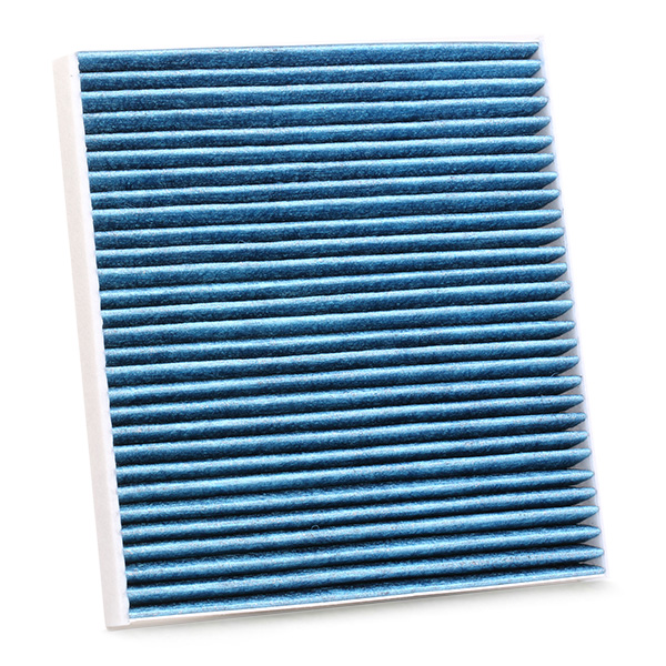 RIDEX 424I0484 Filter,...