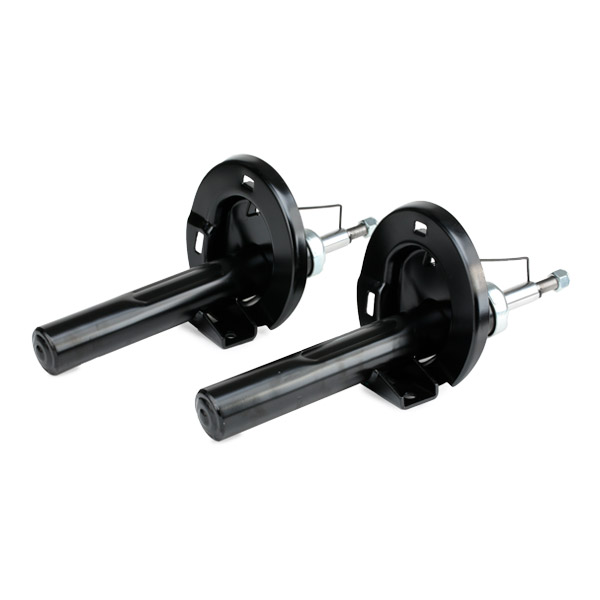 RIDEX 1185S0003 Set montare, amortizor