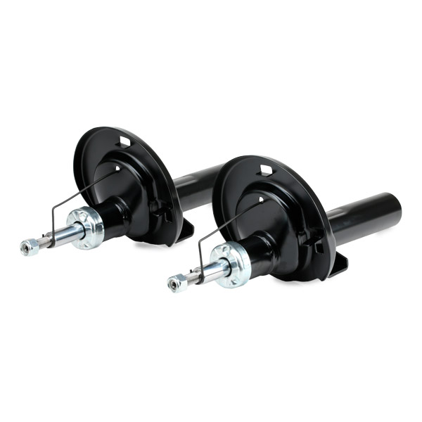 RIDEX 1185S0003 Set montare, amortizor