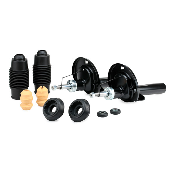 RIDEX 1185S0003 Set montare, amortizor