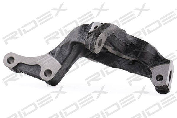 RIDEX 1159S0076 Поворотный кулак, подвеска колеса