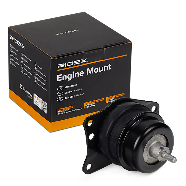 RIDEX 247E0577 Suport motor