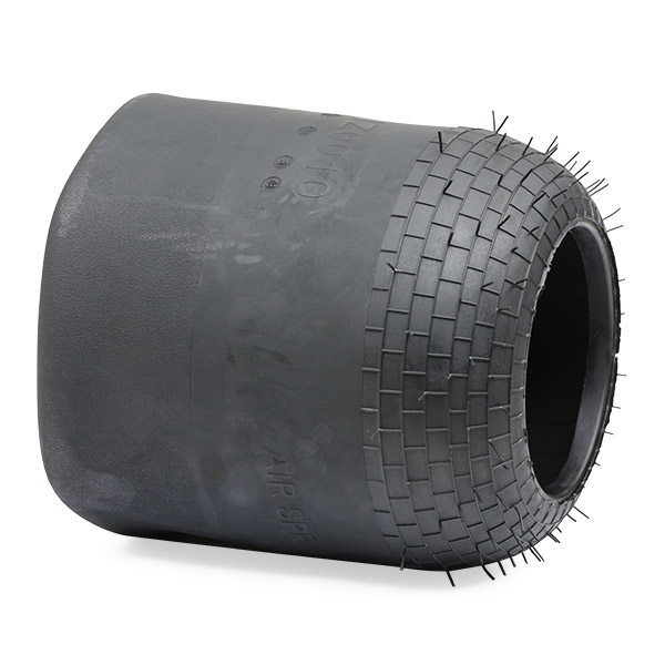 RIDEX 4119A0059 Кожух пневматической рессоры