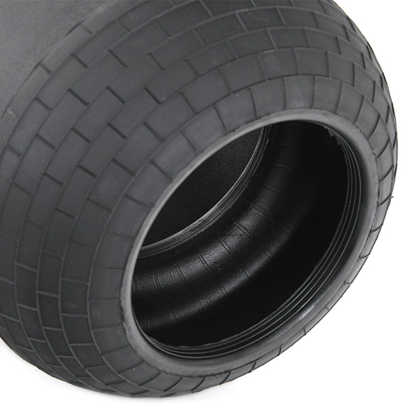 RIDEX 4119A0066 Кожух пневматической рессоры