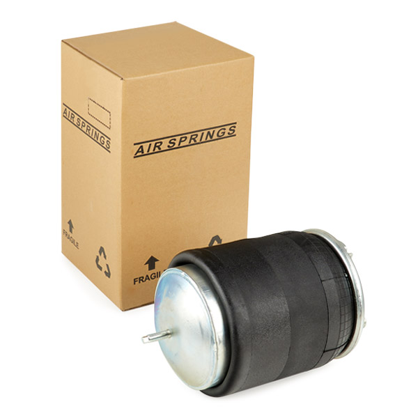 RIDEX 4119A0069 Кожух пневматической рессоры