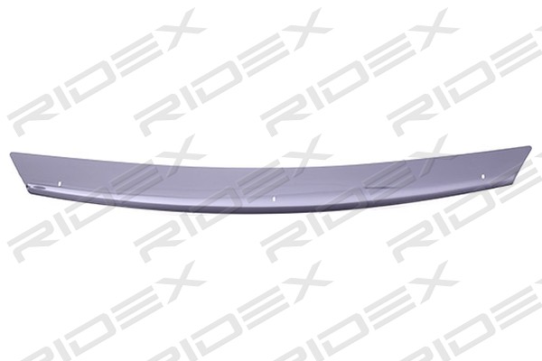 RIDEX 5025A0022 Deviator aer