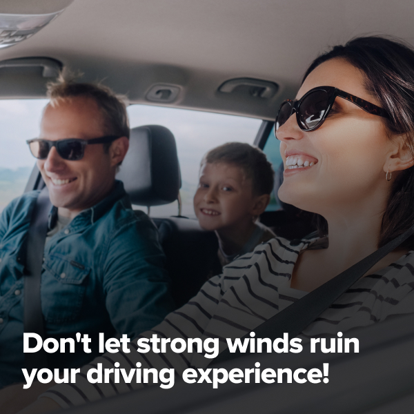 RIDEX 5025A0027 Deviator aer