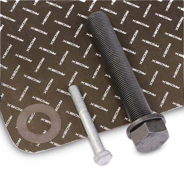 RIDEX 3264B0055 Bolturi